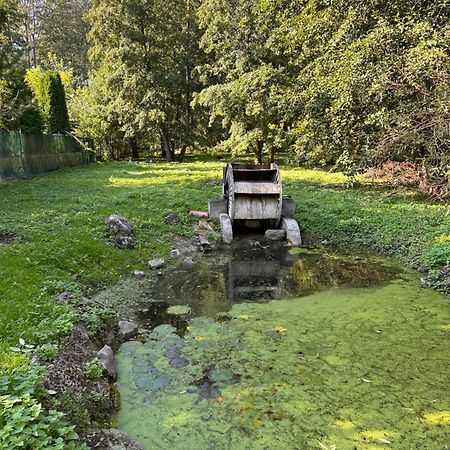 Prijemny Podkrovny Byt V Srdci Dechtic Dechtice Dış mekan fotoğraf